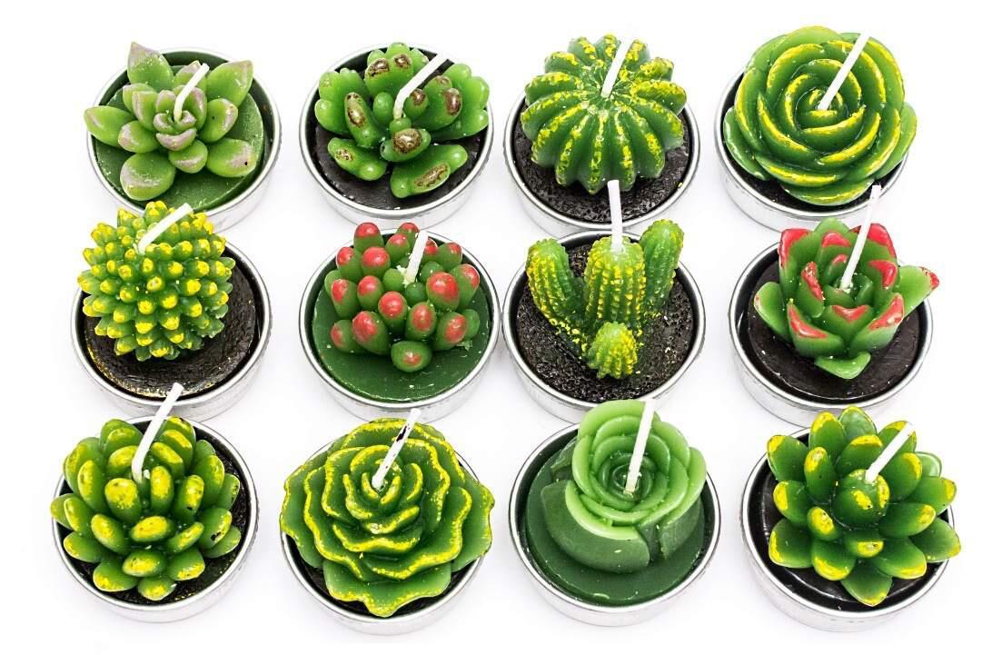 Simulated Succulent Candle Aromatherapy Loving Joy