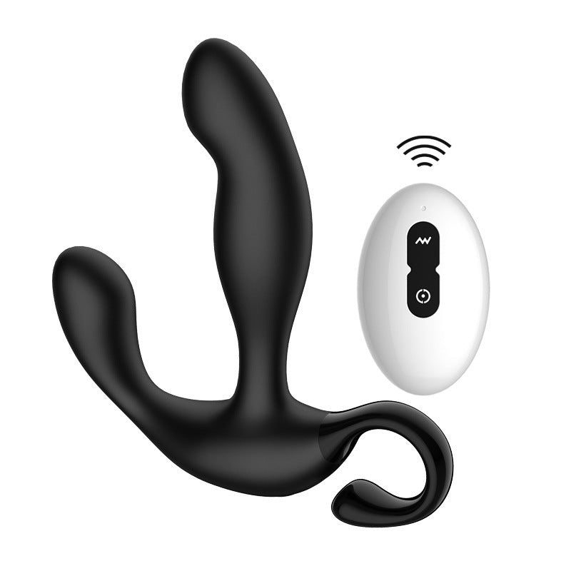 10-Frequency Remote Control Prostate Massager – Waterproof Anal Vibrator Loving Joy