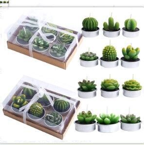 Simulated Succulent Candle Aromatherapy Loving Joy